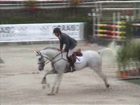 Hermes d'Authieux AA: stallion, Pedigree, Ratings 